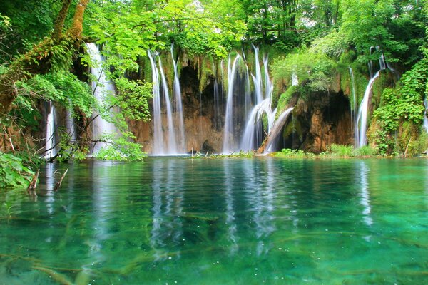 A waterfall in the tropics drains into a lake