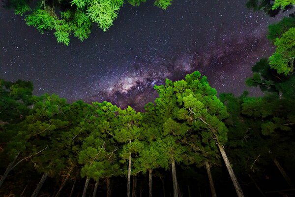 El cielo nocturno es muy hermoso por las estrellas