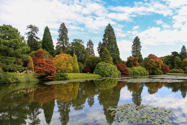 Beautiful autumn park near the pond