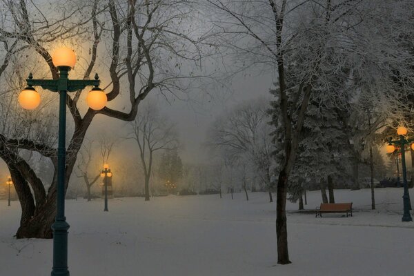 Winterabend. Winterpark. Laternenpfahl