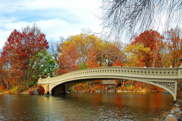 Bridge over a narrow river