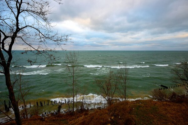 Autumn ledge at the seashore against a cloudy sky