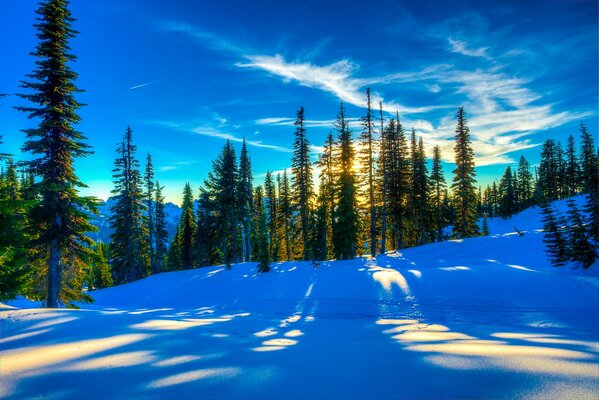 Soleil couchant sur la pente en hiver