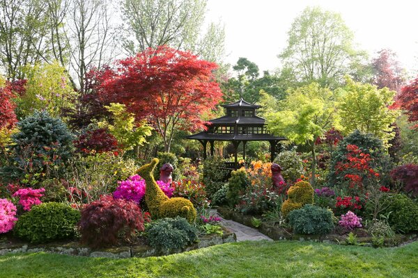 Gazebo et jardin parmi les différentes plantes