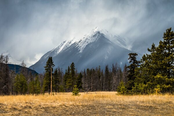 Rovnina avec vue sur le sommet enneigé de la montagne