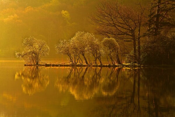 Puesta de sol de otoño en el lago del bosque