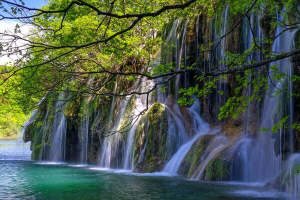 Wasserfall in den Felsen und grüne Bäume