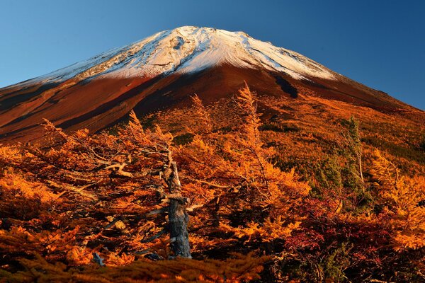 Berg Fujiyama in Rot