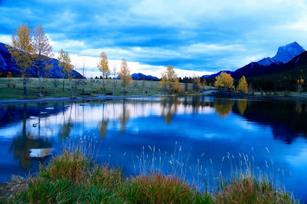 Riflessioni di alberi in un lago di montagna