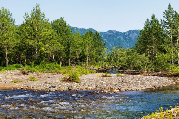 Ruisseau de montagne dans les montagnes du Kamtchatka