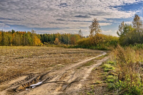 Дорога в поле осенний пейзаж