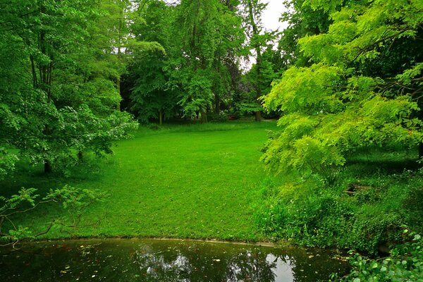 Albert kahn japanischer Garten in Franzi und mit Teich und Bäumen auf einem grünen Rasen