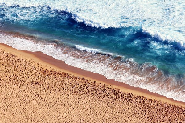 Sable chaud recouvert de mousse de mer