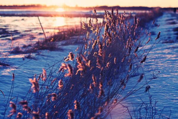 Ein kalter Frühlingsmorgen mit Schnee im Gras