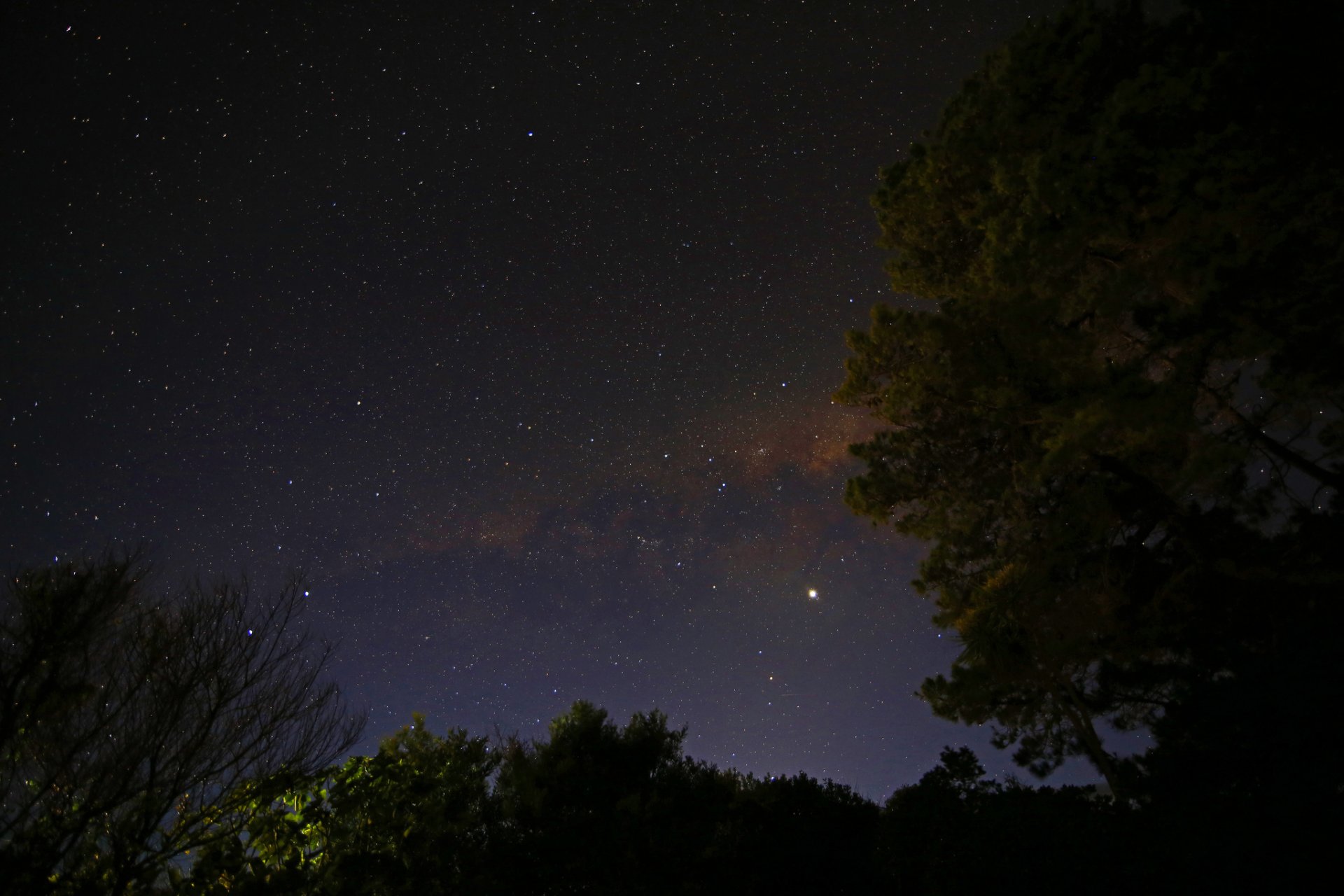 via lattea notte stelle cielo alberi