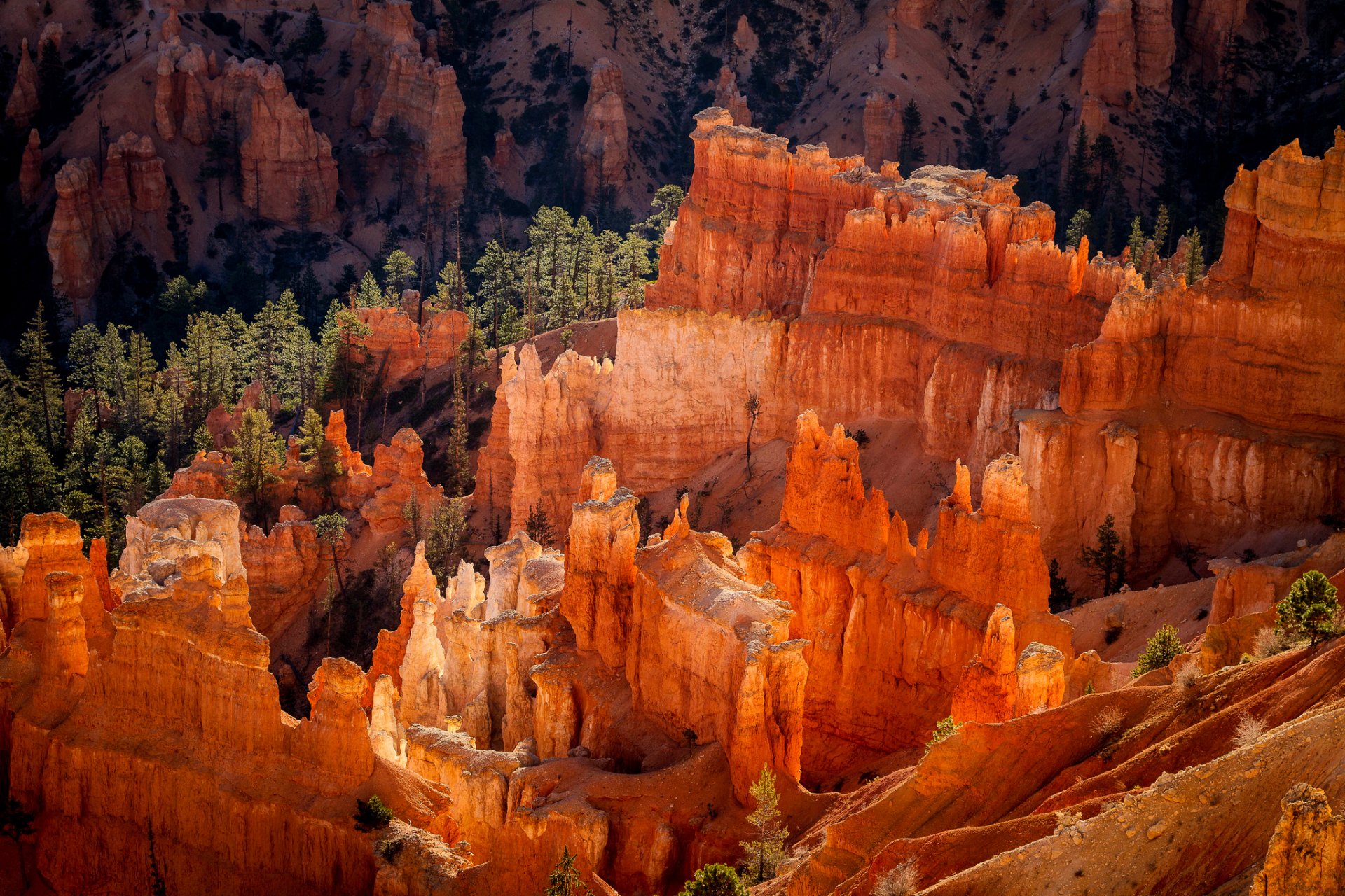 usa utah bryce canyon national park hudu geologische strukturen felsen wald morgen