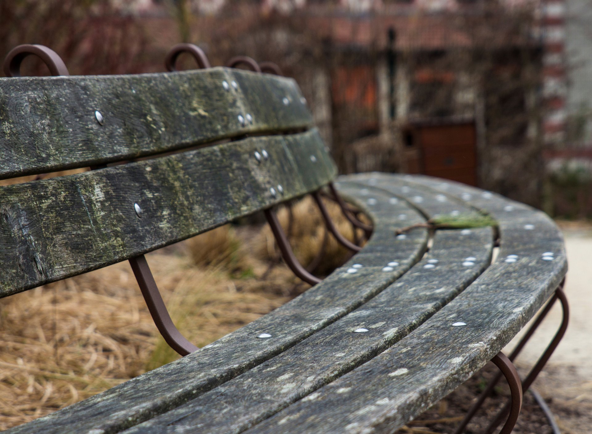 banc circulaire ławka bokeh