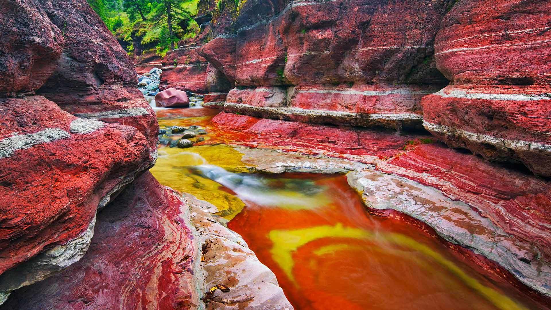 red rock canyon kanada alberta red stone canyon felsen bach natur