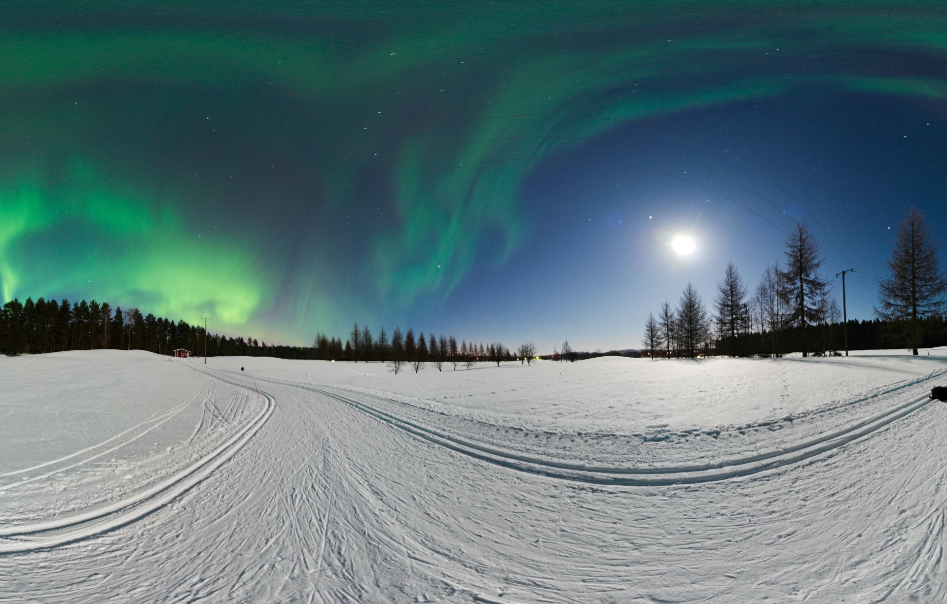 árboles bosque alambres nieve pilares invierno aurora boreal