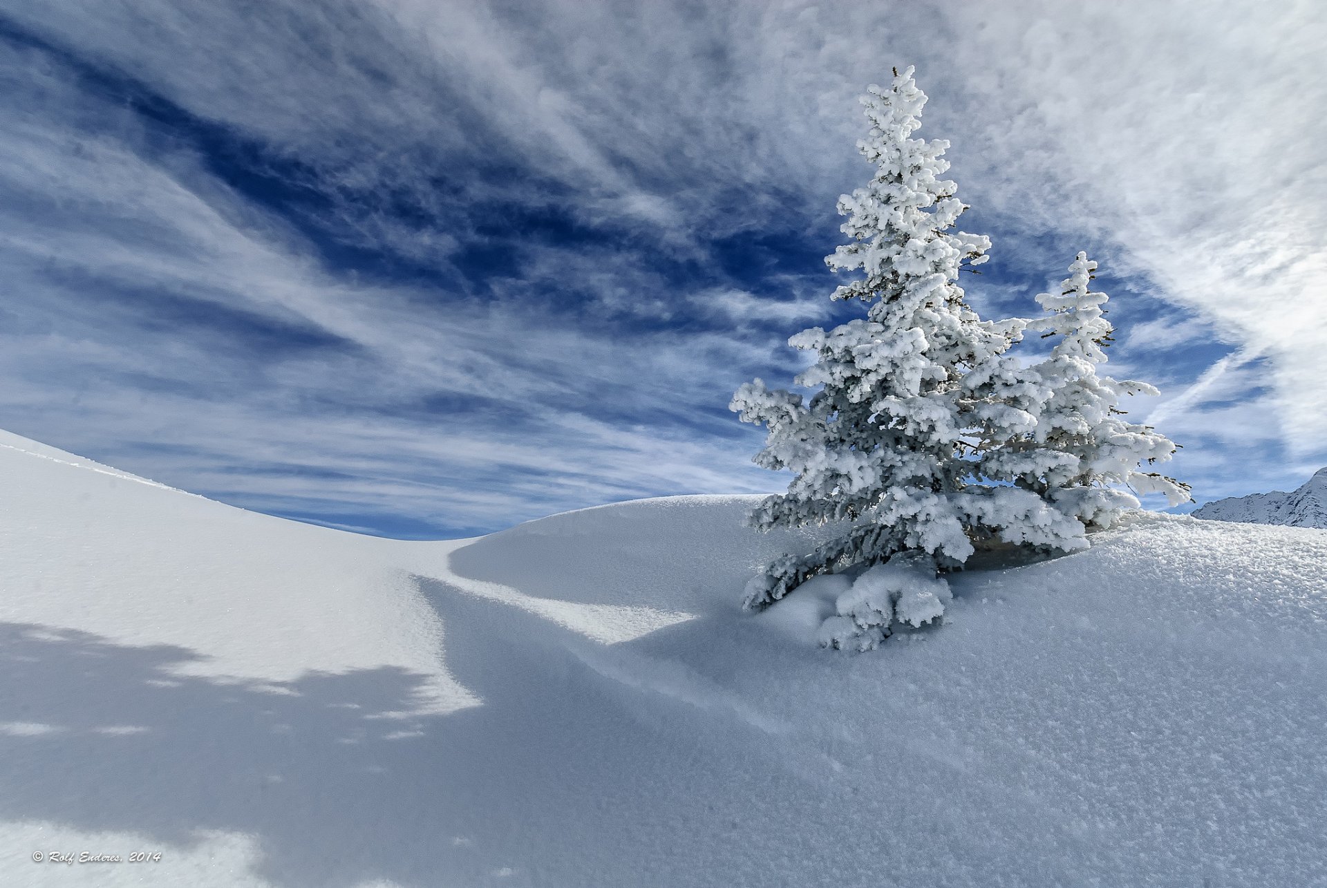 himmel wolken winter schnee baum fichte