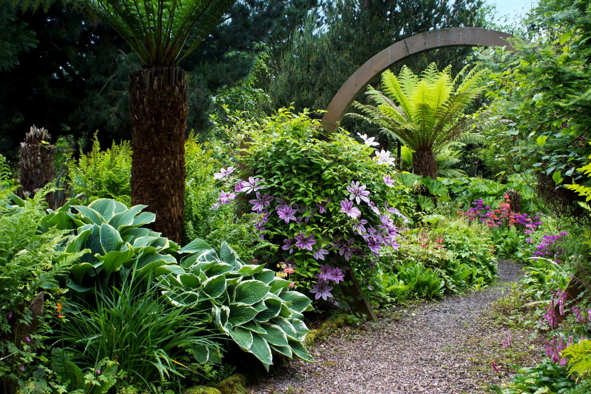 großbritannien mount pleasant gärten park garten bäume sträucher blumen grüns wanderweg