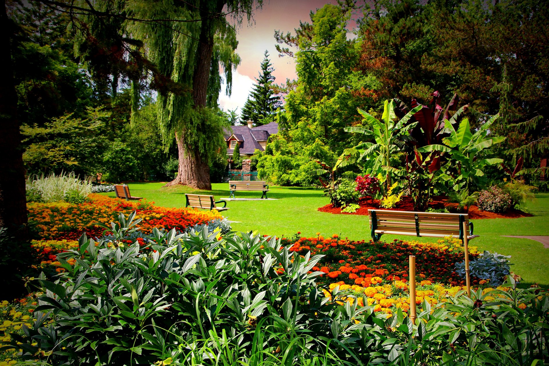 canadá edwards gardens toronto jardín casa cerca árboles césped bancos bancos arbustos flores caléndulas