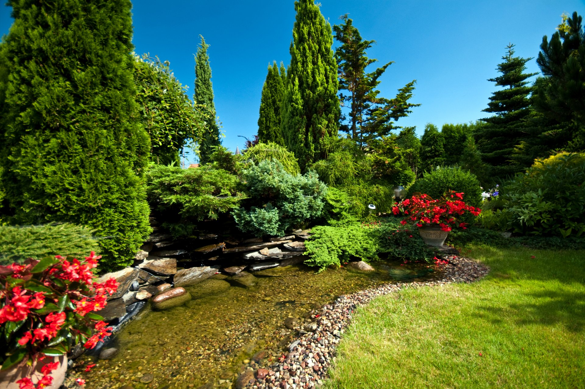 parc ruisseau pierres fleurs herbe buissons arbres verdure