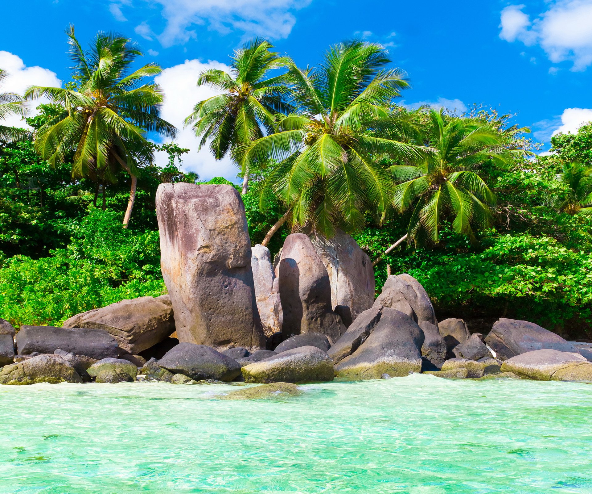 tropisch paradies strand küste meer blau smaragd ozean palm sommer sand urlaub tropen sonne insel küste