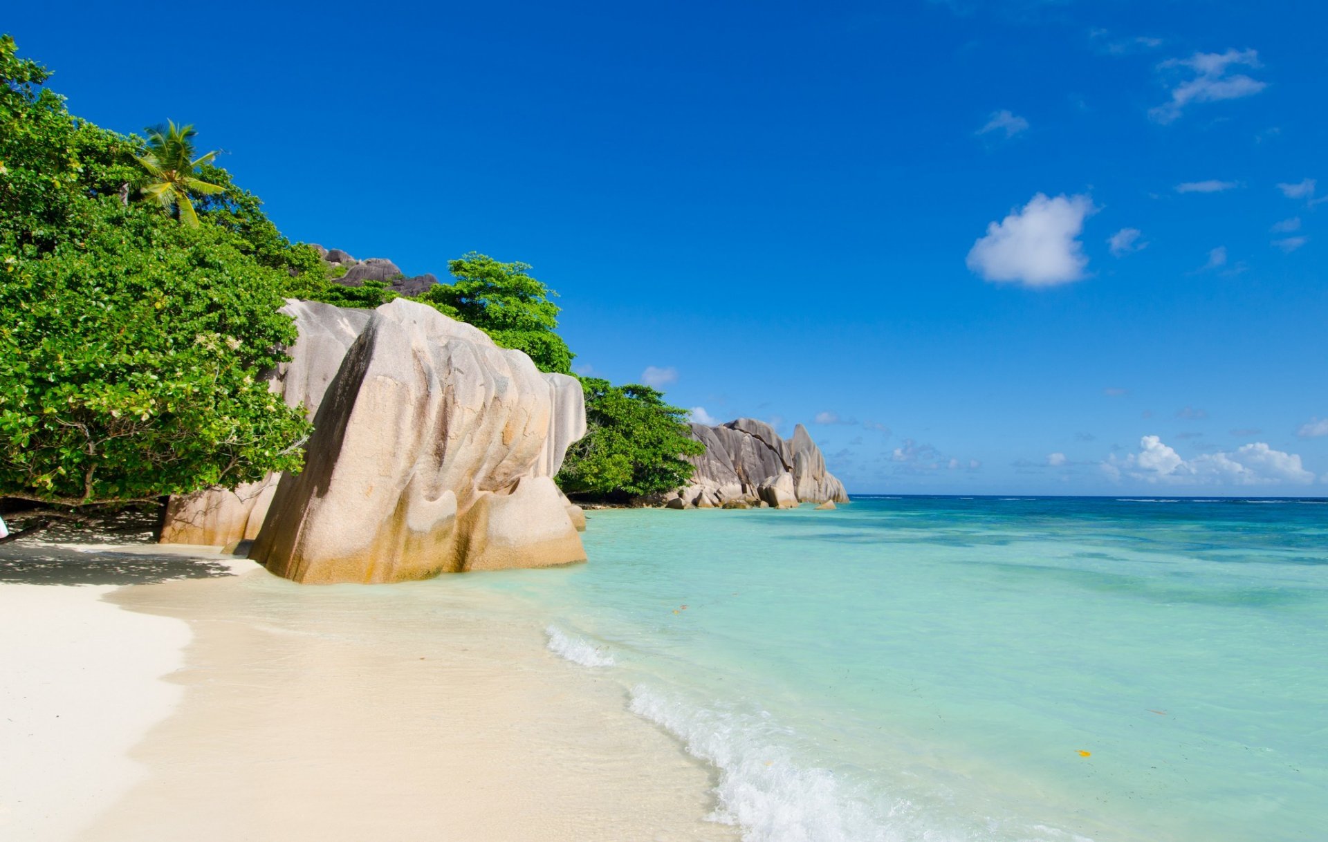 tropici natura paesaggio mare rocce alberi