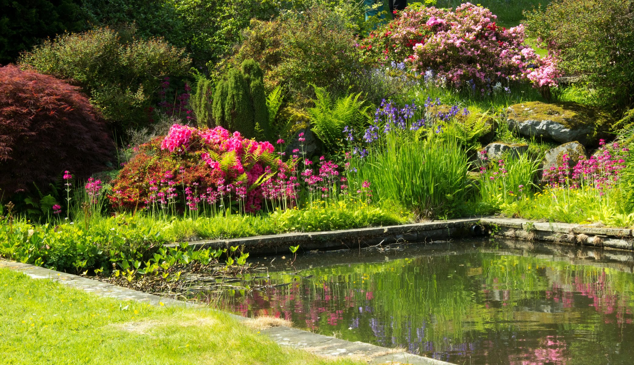 großbritannien mount pleasant gärten garten teich grüns sträucher blumen bunt