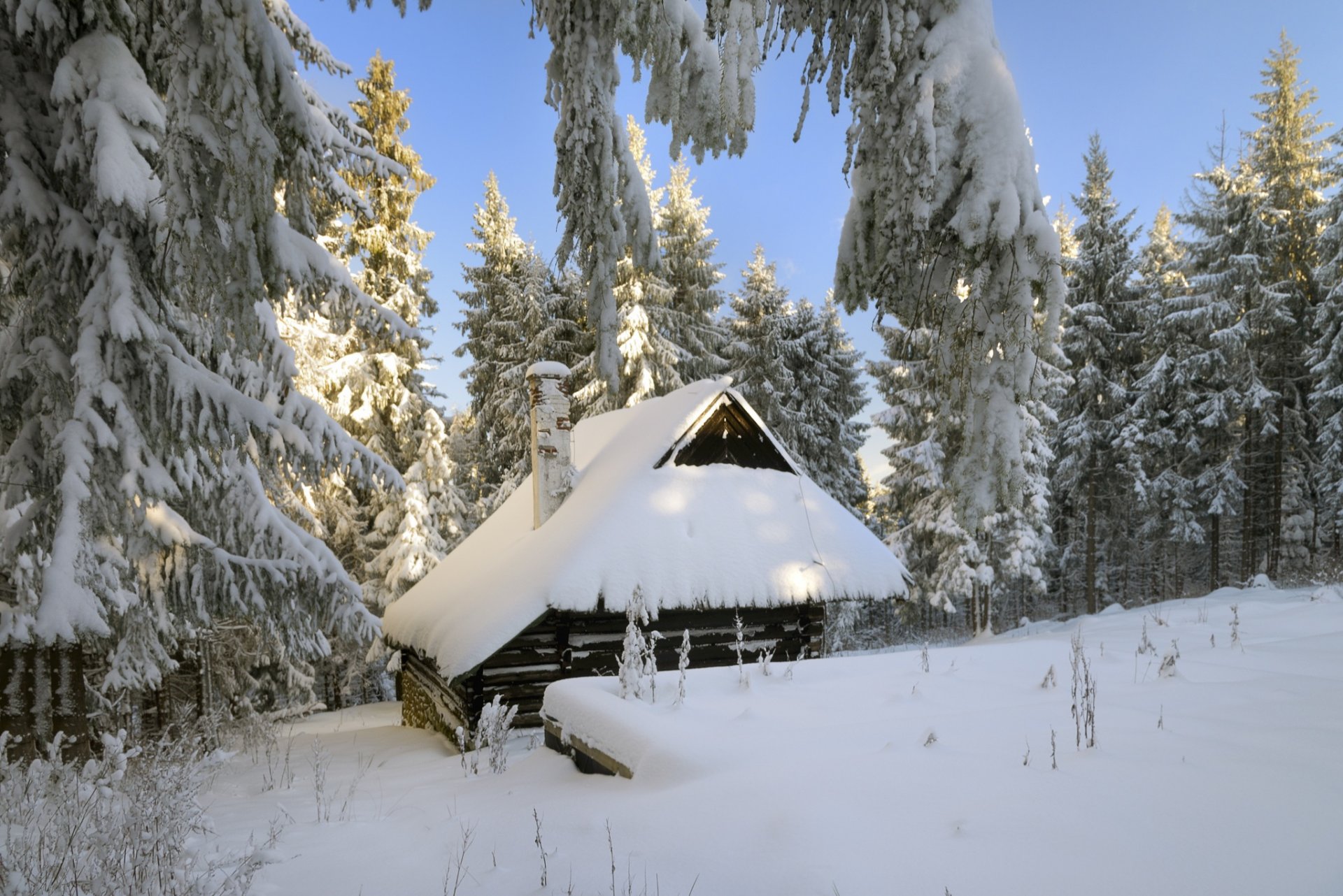 maison forêt hiver neige arbres