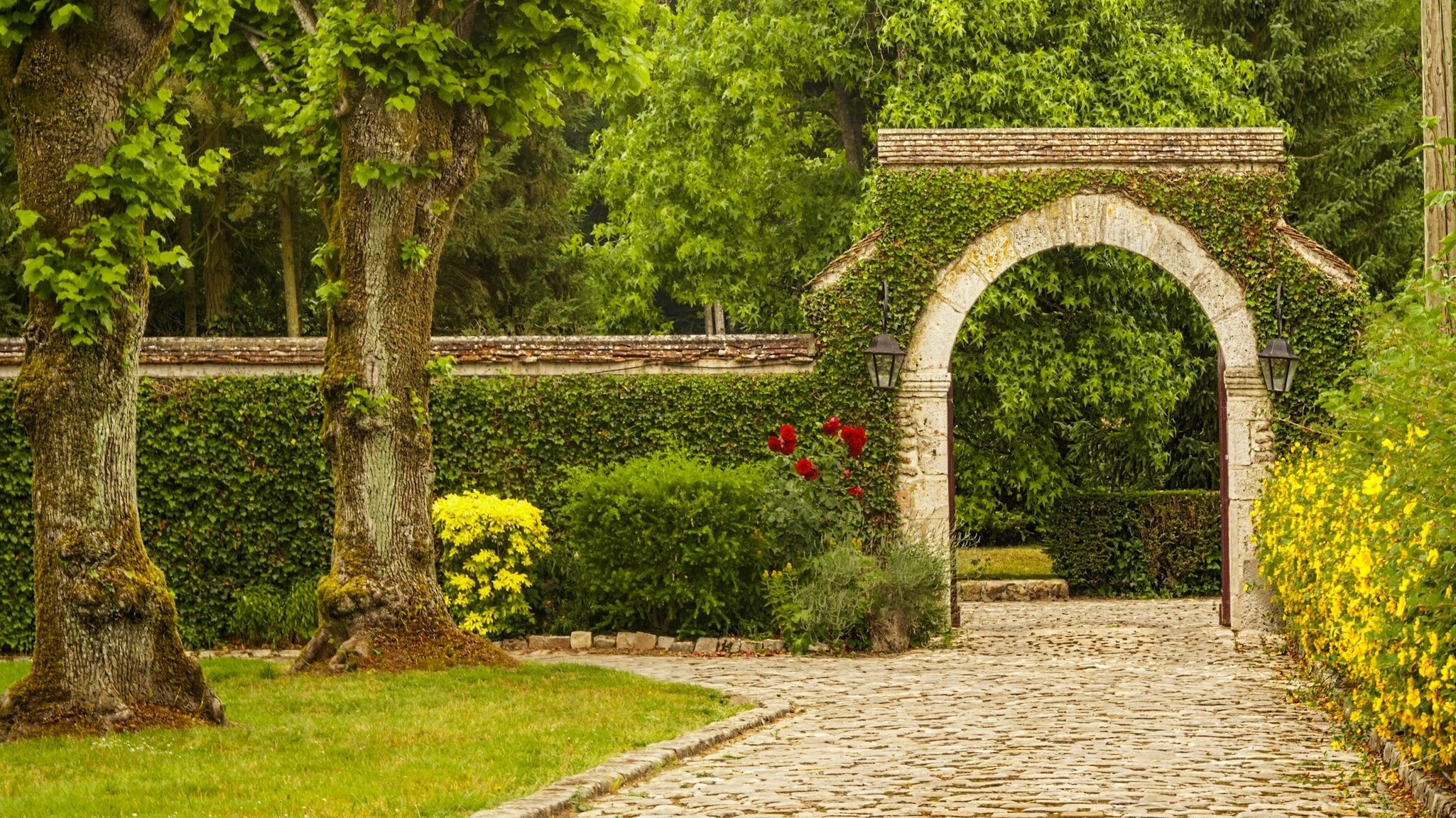 parco alberi arco fiori