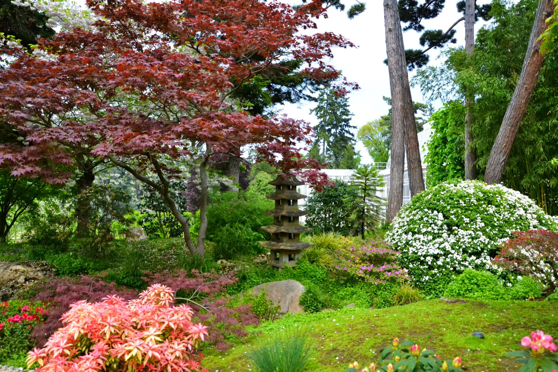 francia jardín albert-kahn jardines japoneses parís arbustos flores árboles