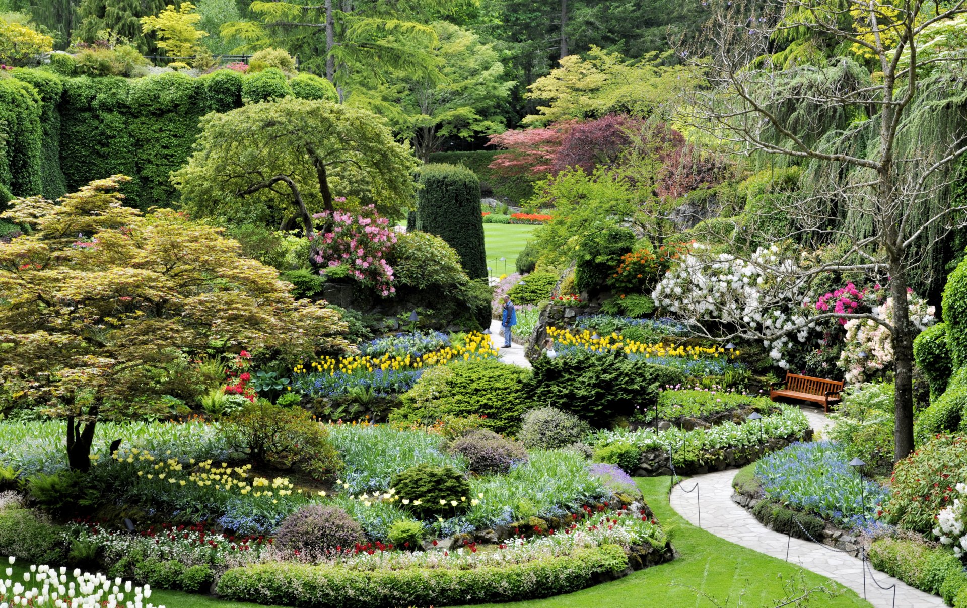 canada park butchart gardens lawn beds flower tulips bush tree track bench