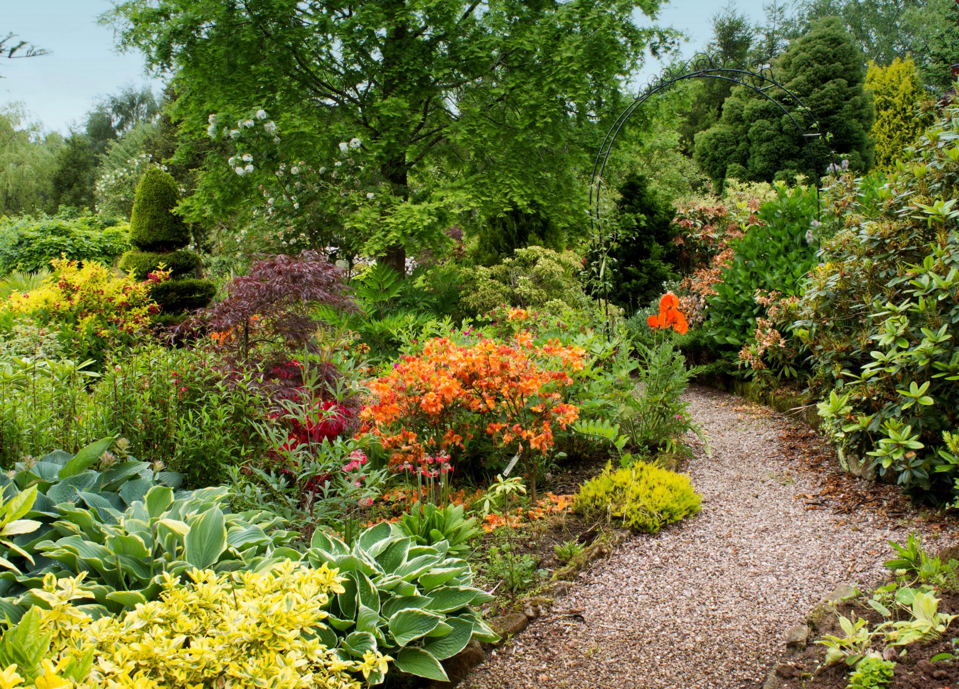 regno unito giardino giardini di mount pleasant alberi cespugli foglie vegetazione fiori sentiero ghiaia