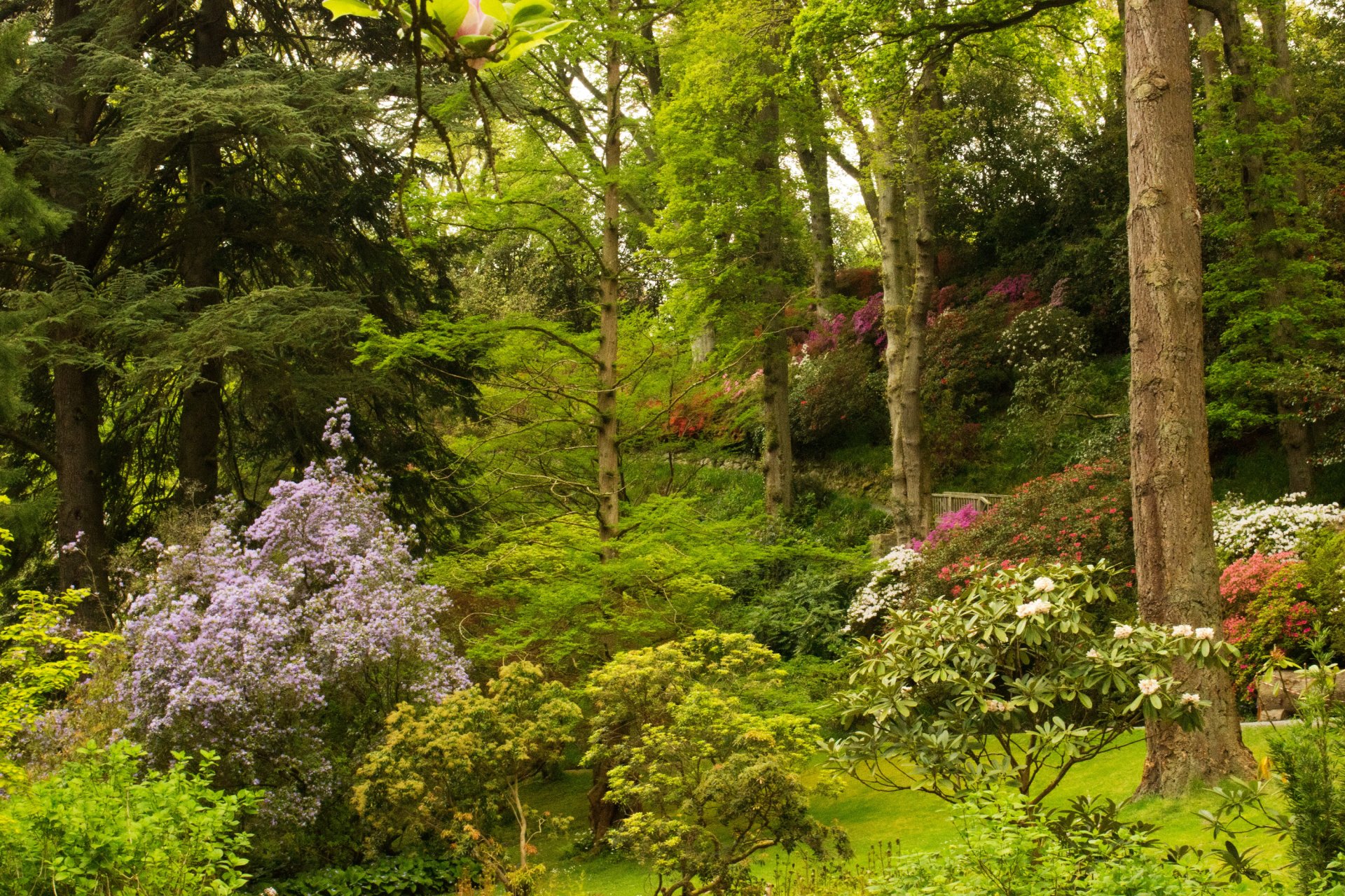 großbritannien park bodnant gardens wales sträucher bäume blumen grüns