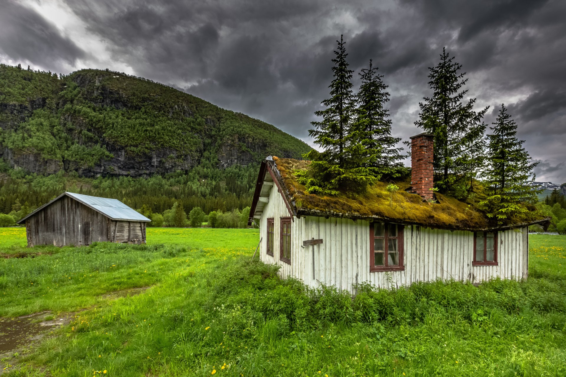 hemsedal norvège norwegen haus dach moos bäume berge natur