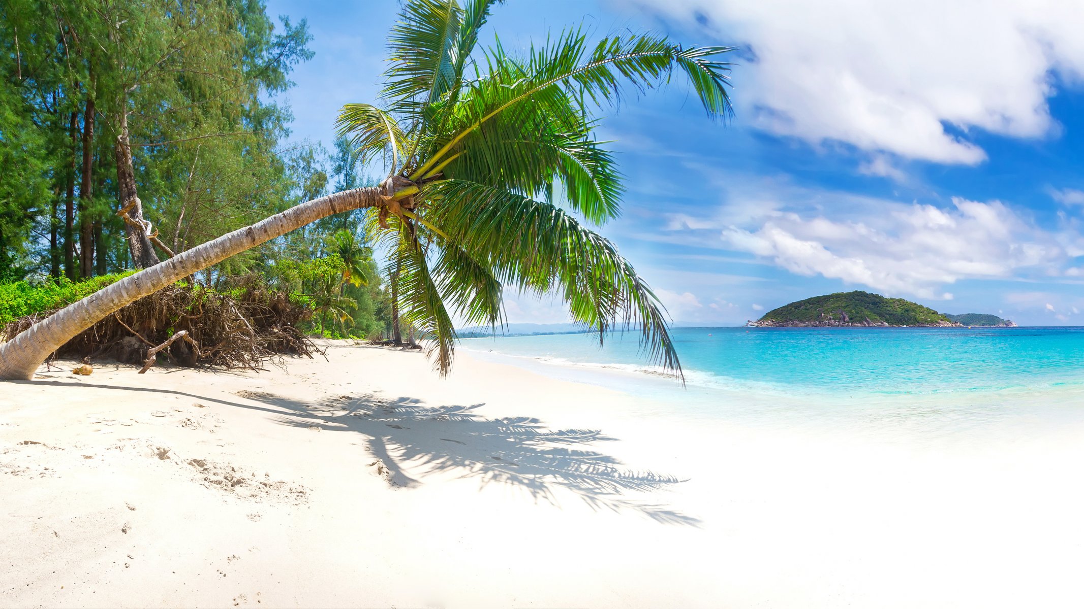 im sommer strand meer küste paradies tropisch sand palmen