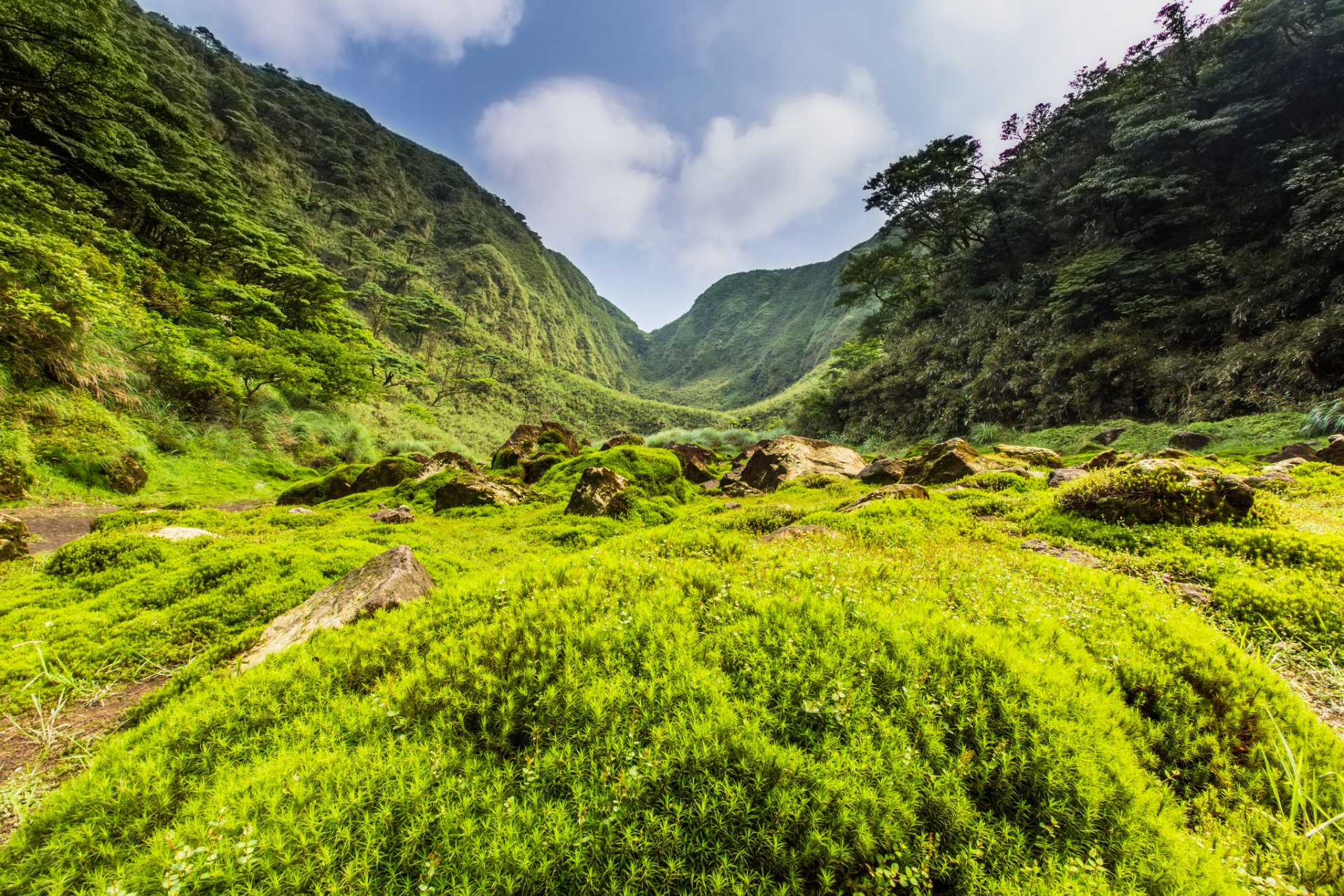 montagnes vallée arbres herbe pierres verdure