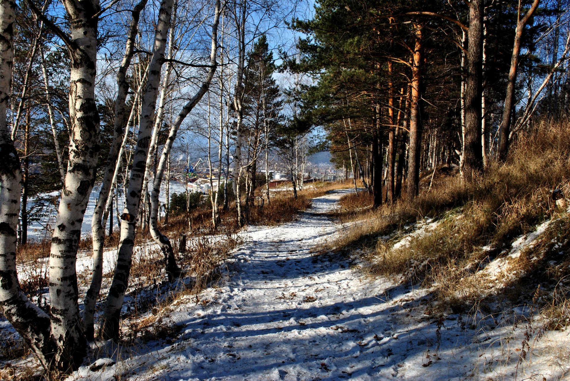 winter snow path forest track ust-kut