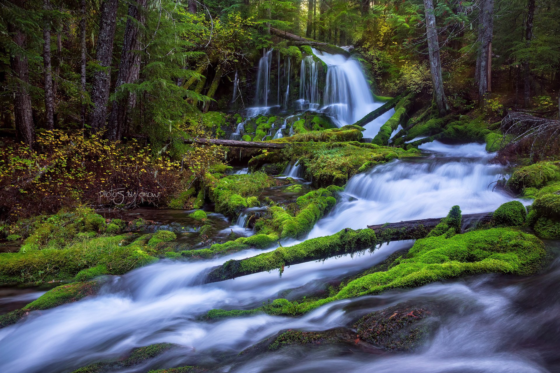 natura foresta autunno ruscelli fiume cascata rami