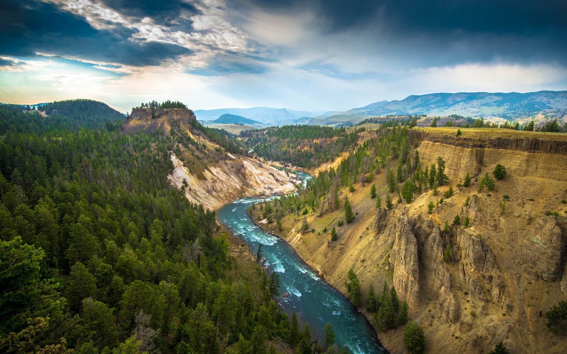 parc national de yellowstone arbres nature rivière montagnes