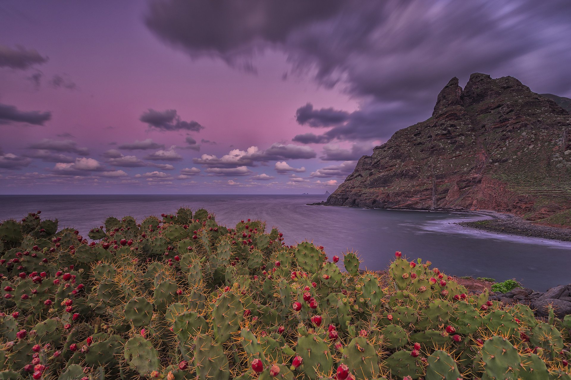 îles canaries île tenerife punta del hidalgo océan atlantique montagnes roches fleur cactus ciel nuages exposition