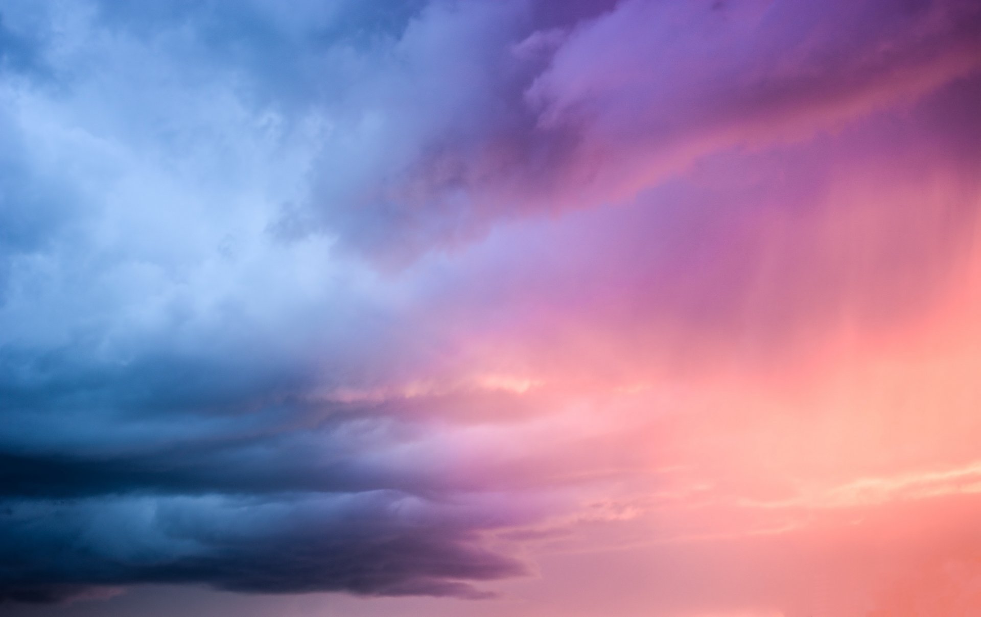 ky flowers sunset light the storm clouds blue purple