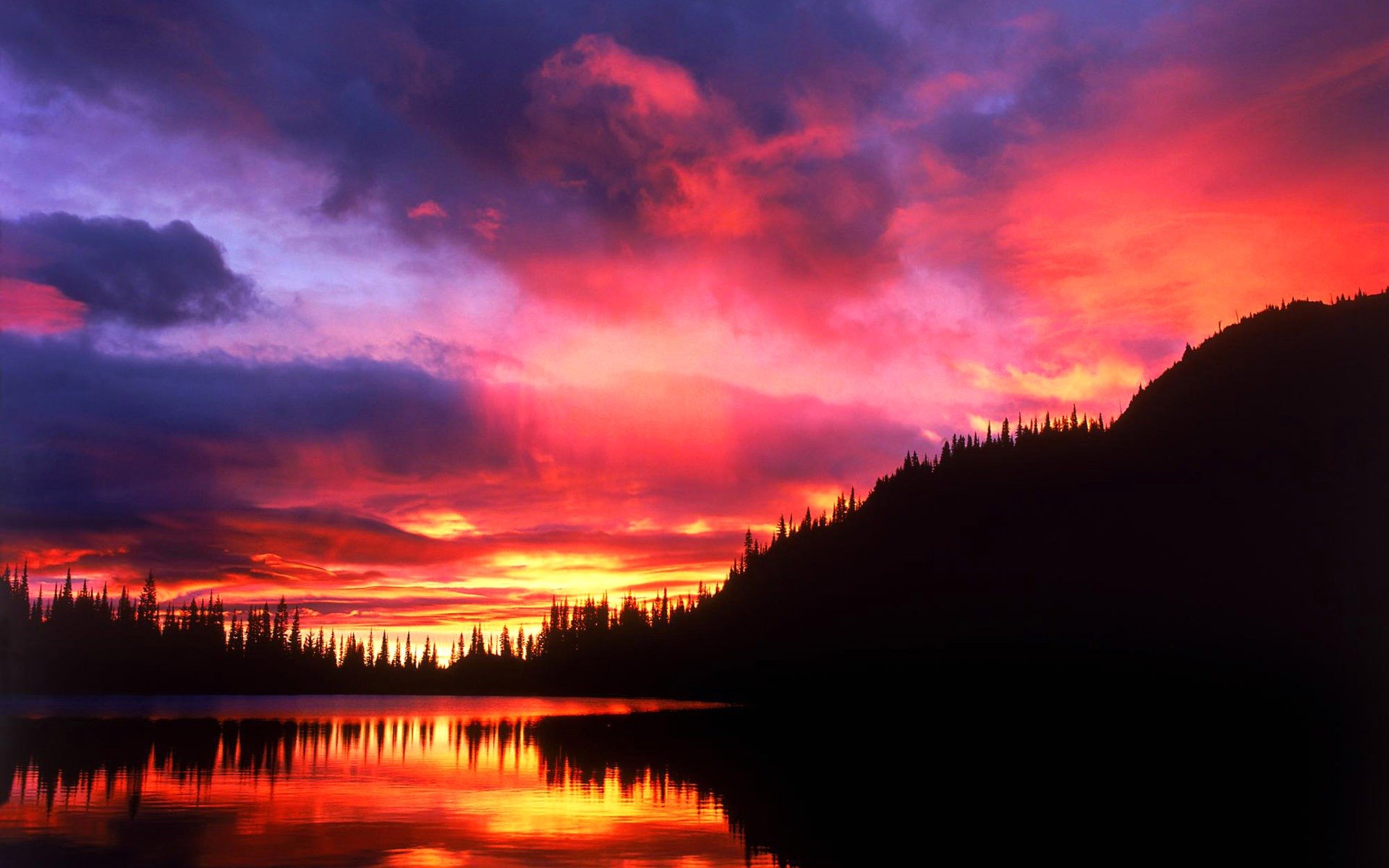 ciel nuages coucher de soleil silhouette forêt arbres réflexion lac