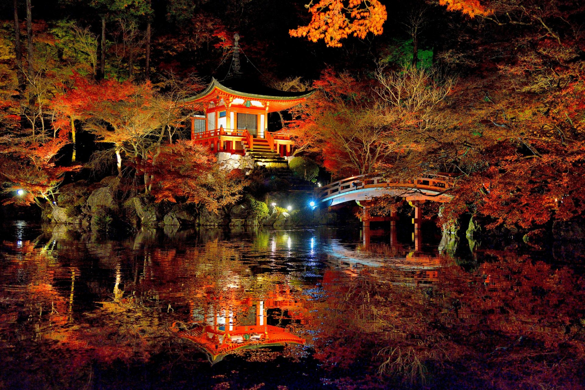 japan daigoji kyoto lake park tree sakura reflection