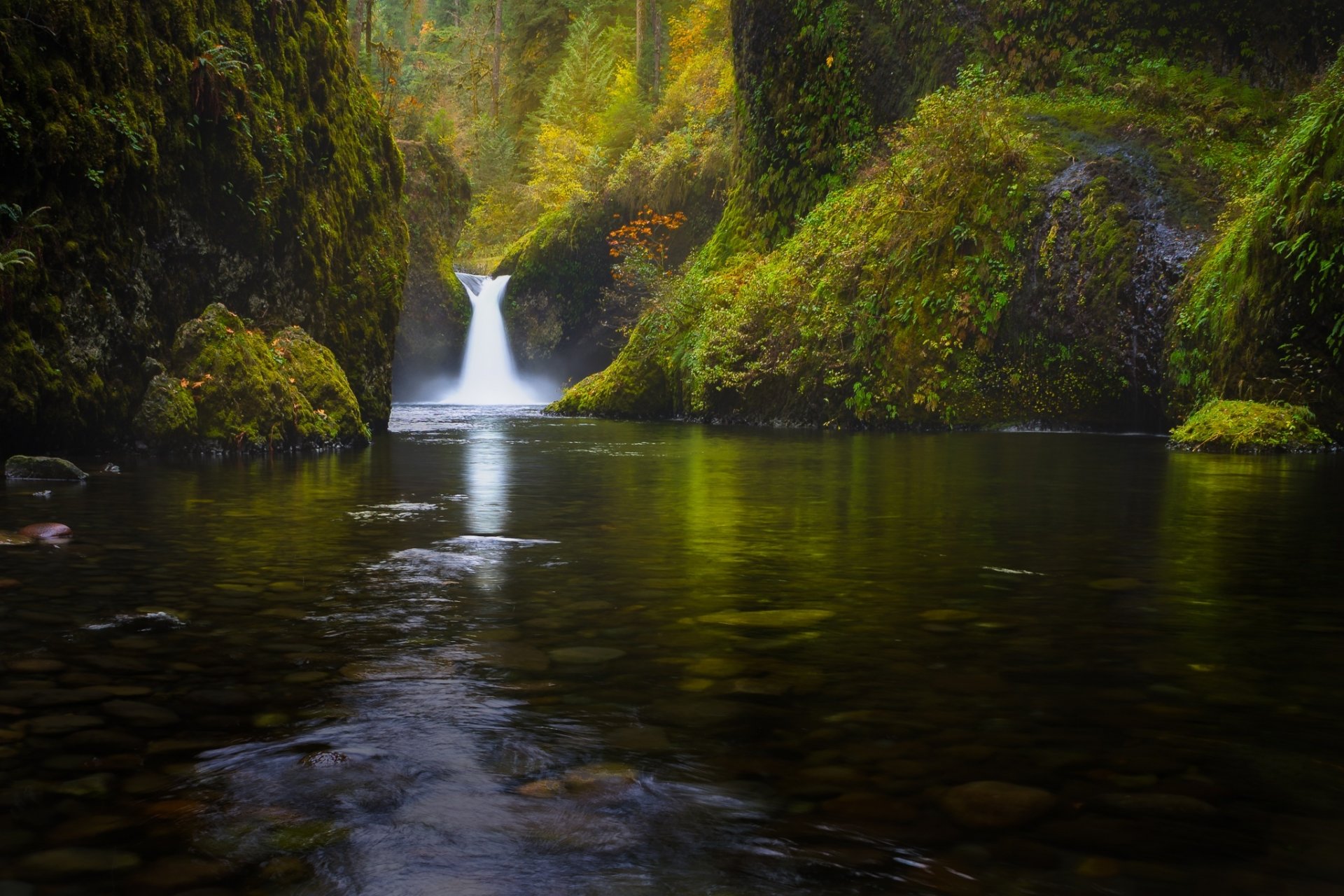 foresta cascata natura. fiume lago alberi