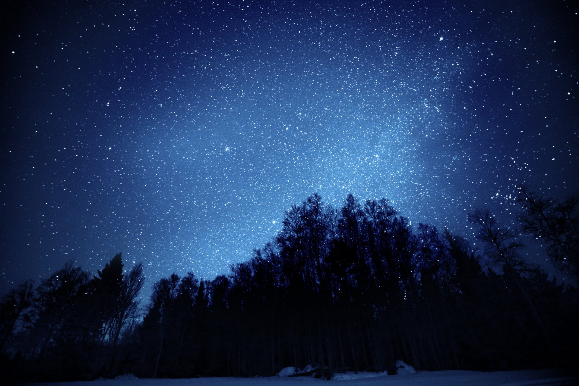 cielo estrellas noche árboles bosque