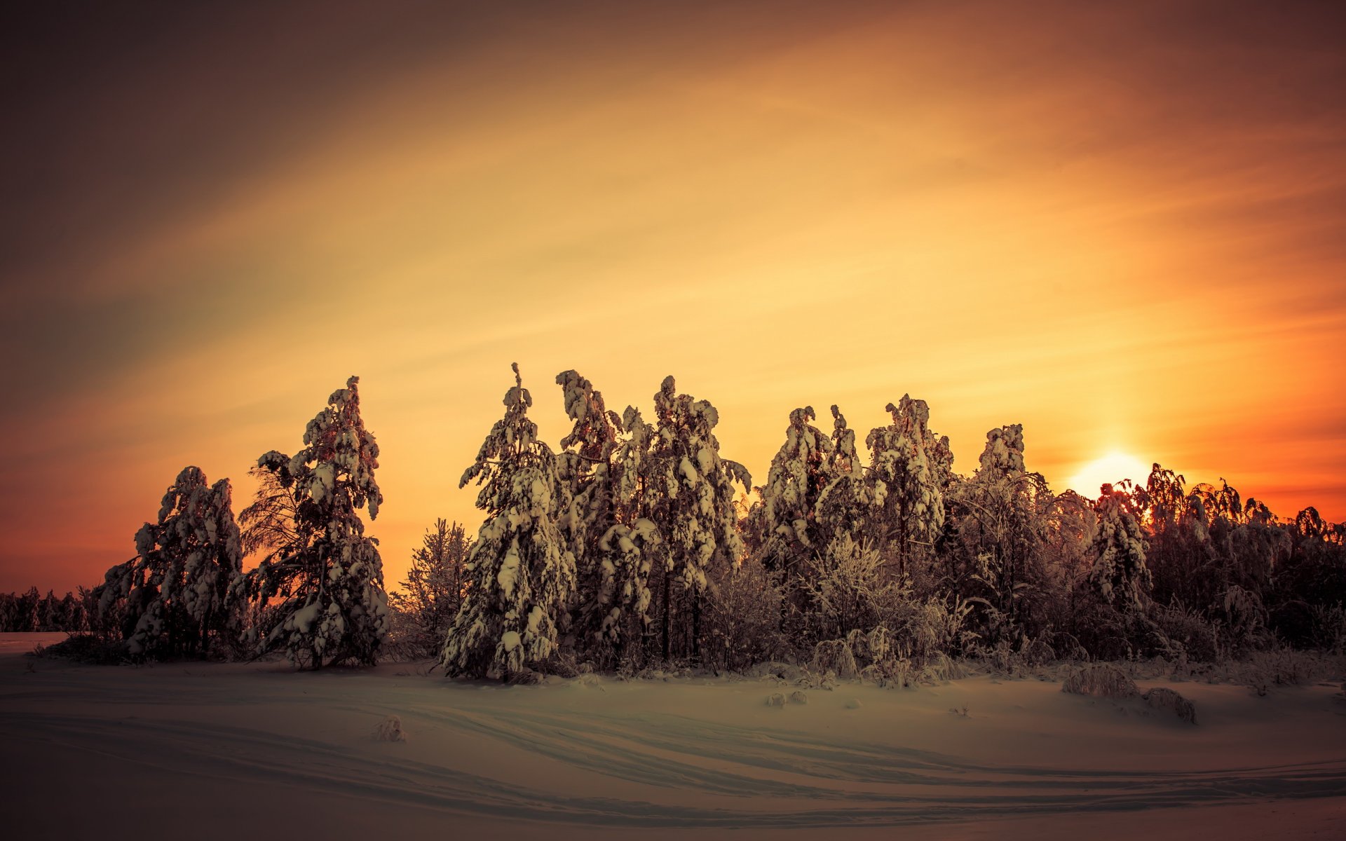 coucher de soleil hiver nature paysage