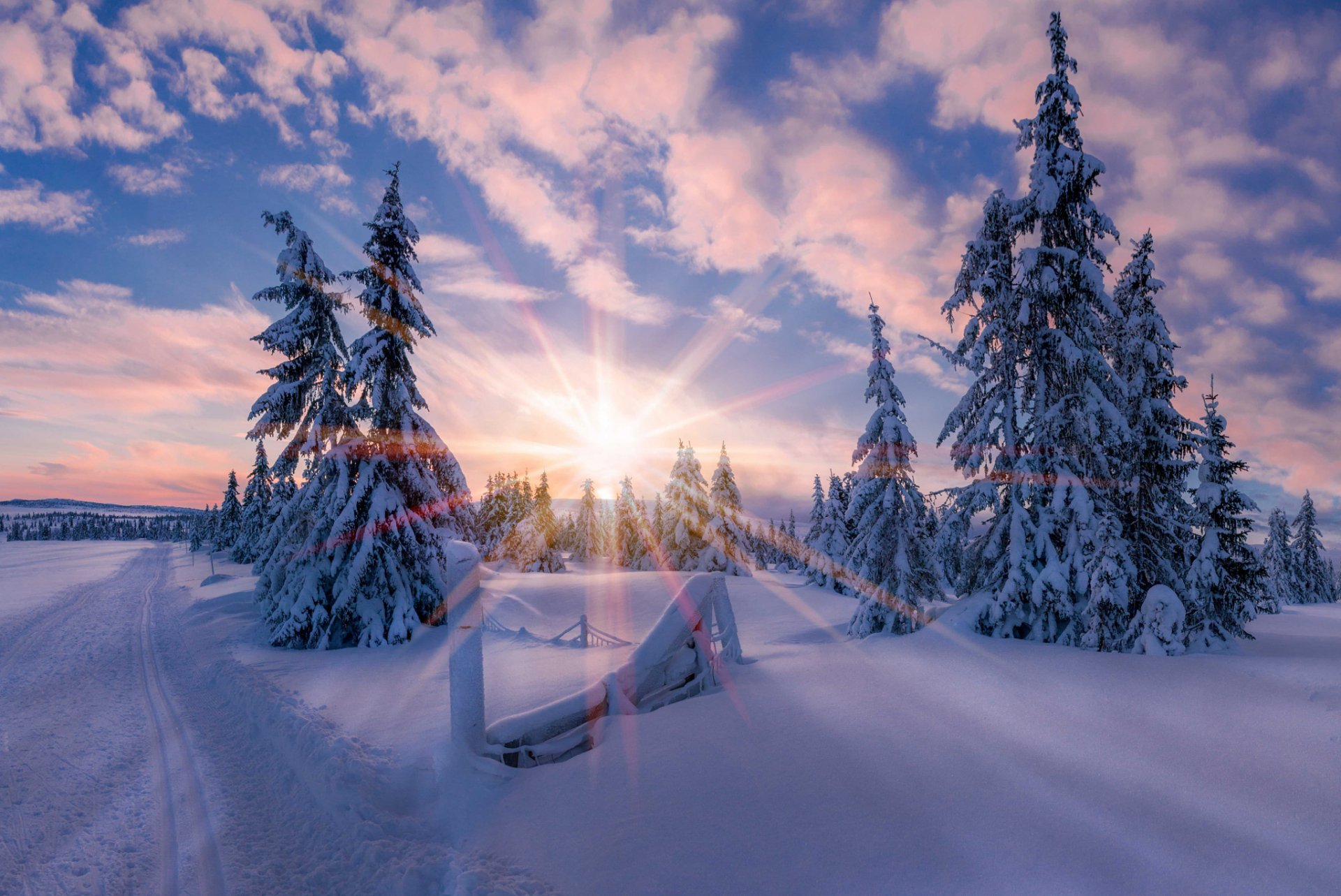 norway winter morning star sun light snow